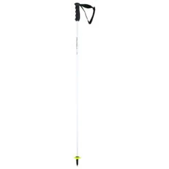 Batons De Ski Head Worldcup Rebels Carbon White Homme