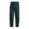 Pantalon De Ski/Snow Peak Performance M Vislight Gore-Tex Pro Homme Vert
